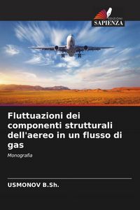 Produktbild: Fluttuazioni dei componenti strutturali dell'aereo in un flusso di gas