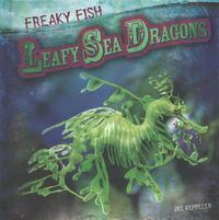 Produktbild: Leafy Sea Dragons