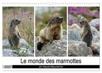 Produktbild: Le monde des marmottes en Haute Maurienne (Calendrier mural 2027 DIN A3 vertical), CALVENDO calendrier mensuel