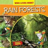 Produktbild: Rain Forests