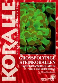 Produktbild: Grosspolypige Steinkorallen im Meerwasseraquarium