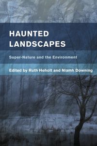 Produktbild: Haunted Landscapes