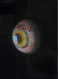 Produktbild: Tony Oursler. SPECULAR