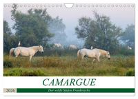 Produktbild: Camargue - Der wilde S&uuml;den Frankreichs (Wandkalender 2026 DIN A4 quer), CALVENDO Monatskalender