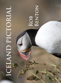 Produktbild: Iceland Pictorial