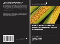 Produktbild: L&iacute;neas endocriadas de ma&iacute;z en diferentes fechas de siembra