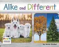 Produktbild: Alike and Different