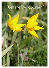 Produktbild: Seltene Wildblumen (Wandkalender 2026 DIN A2 hoch), CALVENDO Monatskalender