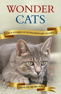 Produktbild: Morgan, A: Wonder Cats