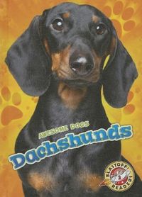 Produktbild: Dachshunds