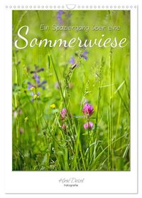 Produktbild: Ein Spaziergang &uuml;ber eine Sommerwiese (Wandkalender 2027 DIN A3 hoch), CALVENDO Monatskalender