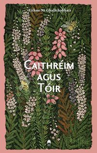 Produktbild: Caithreim Agus Toir