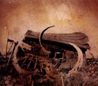 Produktbild: Clinging To The Trees Of A Forest Fire: Songs of Ill Hope an