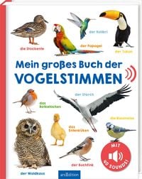Produktbild: Mein gro&szlig;es Buch der Vogelstimmen