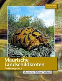 Produktbild: Maurische Landschildkr&ouml;ten
