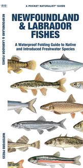 Produktbild: Newfoundland & Labrador Fishes