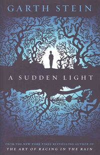 Produktbild: Stein, G: A Sudden Light