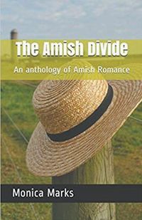 Produktbild: The Amish Divide An Anthology of Amish Romance