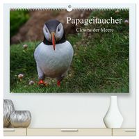 Produktbild: Papageitaucher Clowns der Meere (hochwertiger Premium Wandkalender 2026 DIN A2 quer), Kunstdruck in Hochglanz