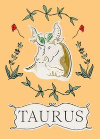 Produktbild: Taurus