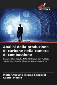 Produktbild: Analisi della produzione di carbone nella camera di combustione