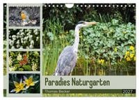 Produktbild: Paradies Naturgarten (Wandkalender 2027 DIN A4 quer), CALVENDO Monatskalender