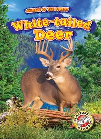 Produktbild: White-Tailed Deer