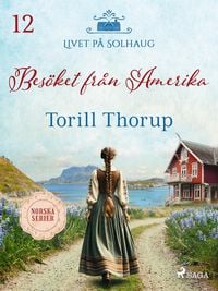 Produktbild: Bes&ouml;ket fr&aring;n Amerika