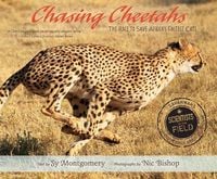 Produktbild: Chasing Cheetahs