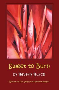 Produktbild: Sweet to Burn