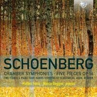 Produktbild: Chamber Symphonies/Five Pieces op.16