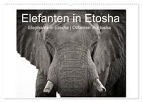 Produktbild: Elefanten in Etosha (Wandkalender 2026 DIN A2 quer), CALVENDO Monatskalender