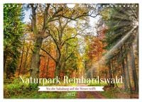 Produktbild: Naturpark Reinhardswald - Wo die Sababurg auf die Weser trifft (Wandkalender 2027 DIN A4 quer), CALVENDO Monatskalender