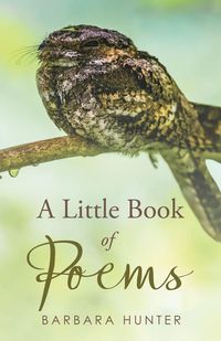 Produktbild: A Little Book of Poems