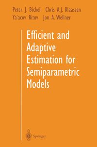 Produktbild: Efficient and Adaptive Estimation for Semiparametric Models