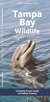 Produktbild: Tampa Bay Wildlife