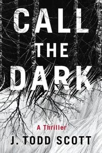 Produktbild: Call the Dark