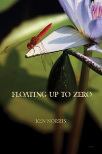 Produktbild: Floating Up to Zero
