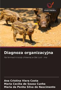 Produktbild: Diagnoza organizacyjna