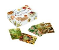 Produktbild: Das Ernst-Haeckel-Memo-Spiel