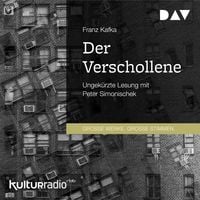 Produktbild: Der Verschollene