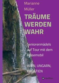Produktbild: Tr&auml;ume werden wahr