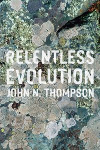 Produktbild: Relentless Evolution
