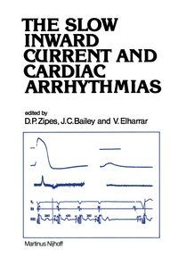 Produktbild: The Slow Inward Current and Cardiac Arrhythmias
