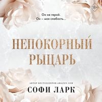 Produktbild: Nepokornyy rytsar'