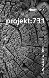 Produktbild: Projekt: 731
