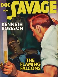 Produktbild: The Flaming Falcons