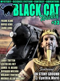 Produktbild: Black Cat Weekly #23