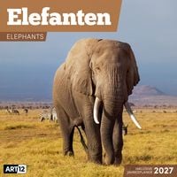 Produktbild: Elefanten Kalender 2027 - 30x30 - Art12