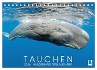 Produktbild: Tauchen: Wunderbares tiefblaues Meer (Tischkalender 2026 DIN A5 quer), CALVENDO Monatskalender